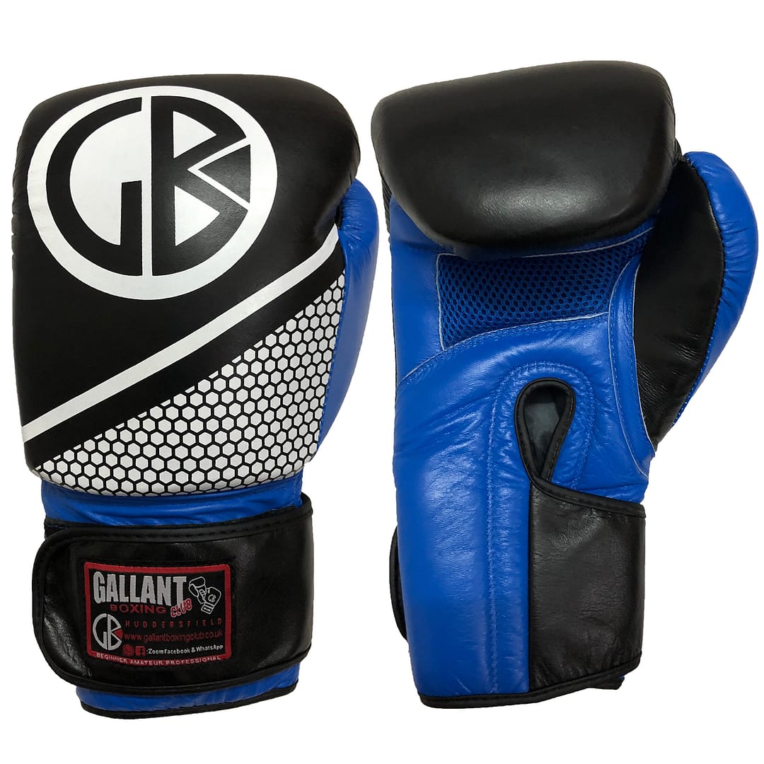 TRAINING BLUE BOXING GLOVES