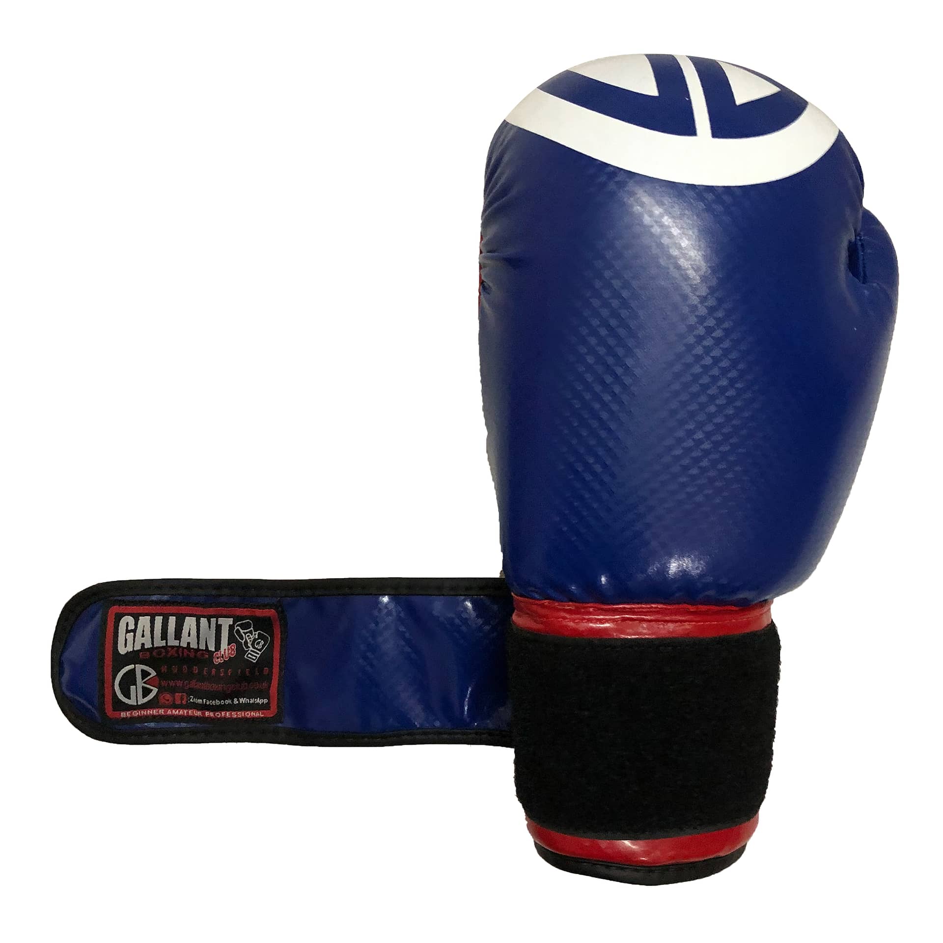 BOXING TRAINING GLOVES IN BLUE & RED – Gallant Boxing club